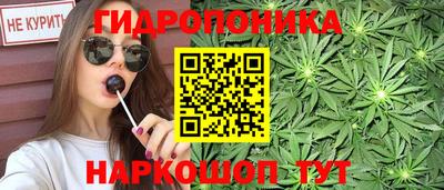 дмт Гусев