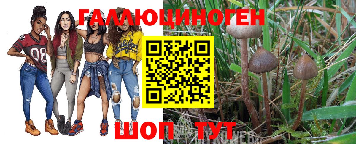 Псилоцибиновые грибы MAGIC MUSHROOMS Острогожск