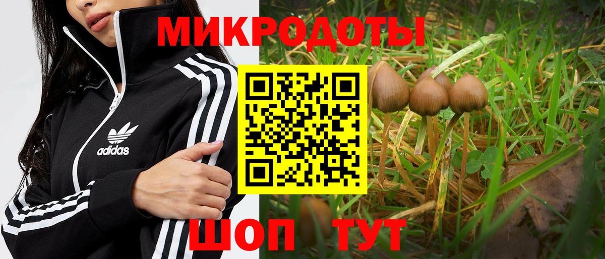 Острогожск  Галлюциногенные грибы прущие грибы  Вход с VPN 